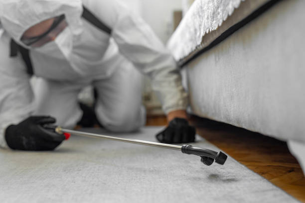 Professional Termite Control technician working in Epworth, IA